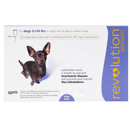 Revolution Very Small Dogs 5.1-10 Lbs (Purple) 6 Doses Revolution Very Small Dogs 5.1-10 Lbs (Purple) 6 Doses