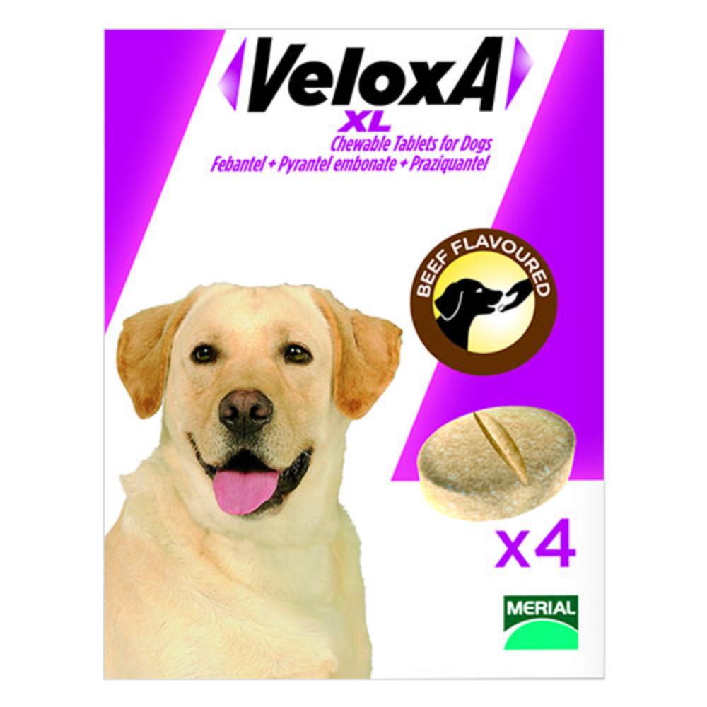 Veloxa Xl Chewable Tablets For Large Dogs Up To 35 Kg (77lbs) 8 Tablets