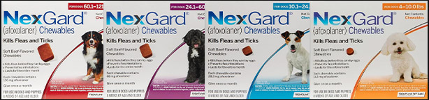 Nexgard