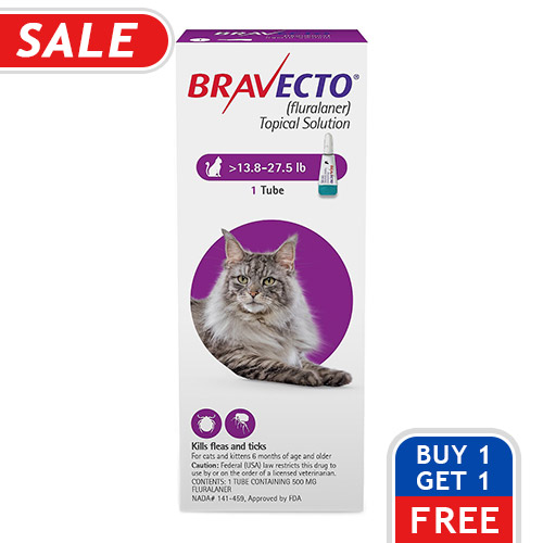 Bravecto Topical Treatments For Cats Bravecto Flea, Ticks Topical Solution for Cats