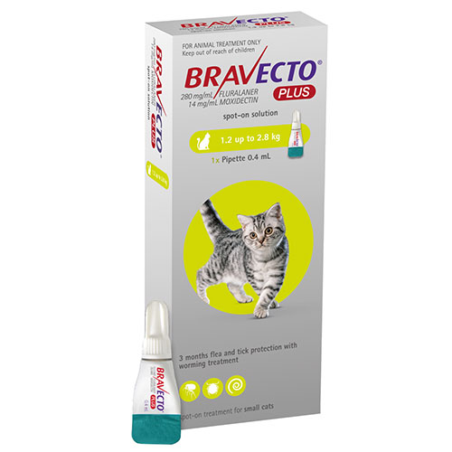 bravecto flea for cats