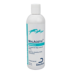 Malacetic Shampoo 230 mL