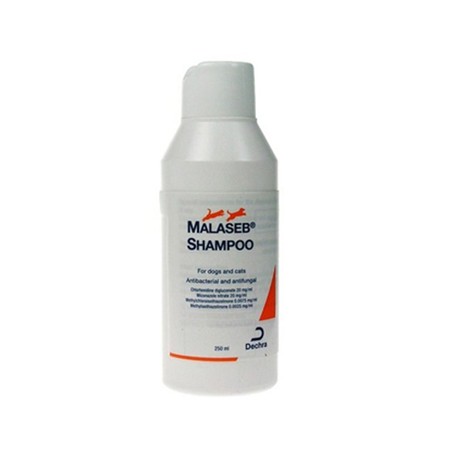 Malaseb Shampoo for Dogs and Cats