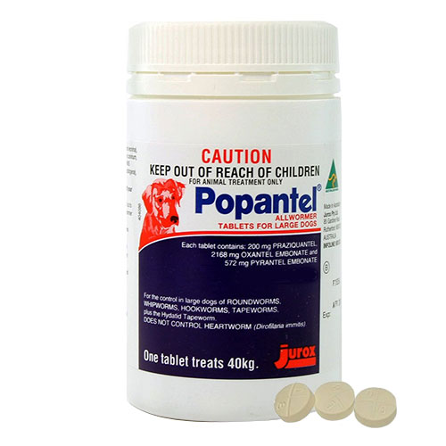 Popantel Allwormer for Dogs 40 Kg (88 lbs)