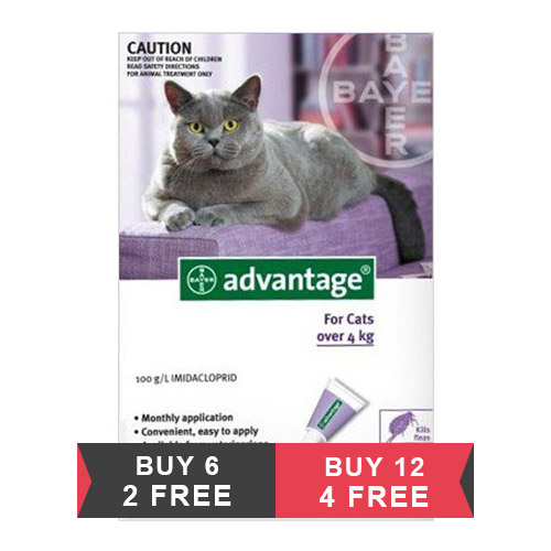 Advantage coupons for cats