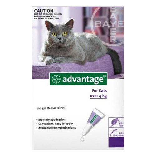 Advantage Once-A-Month Cat & Kitten Topical Flea Treatment, Buy Advantage For Cats online at cheapest price with BudgetPetWorld today.