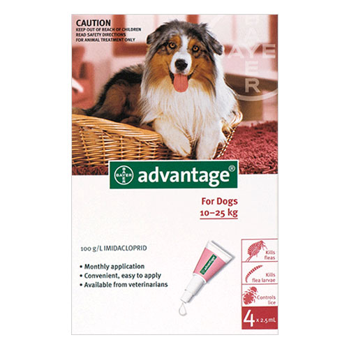 Advantage for Dogs is a monthly application which will rid your dog of fleas within a day. Buy Advantage Flea Treatment for dogs and cats Online at lowest Price.