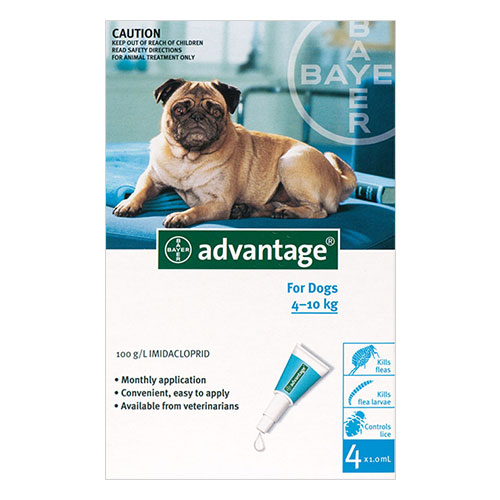 Advantage for Dogs is a monthly application which will rid your dog of fleas within a day. Buy Advantage Flea Treatment for dogs and cats Online at lowest Price.
