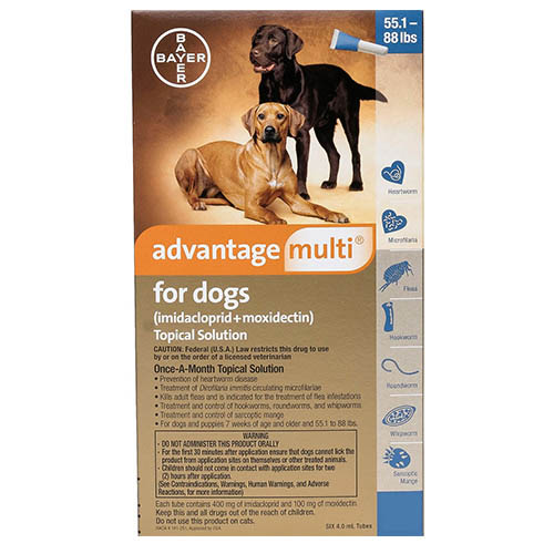 Buy Avantage multi heartworm for dogs, Advantage Multi for Dogs is used for the prevention of heartworm and the treatment and control of flea infestations, hookworms, roundworms and whipworms.