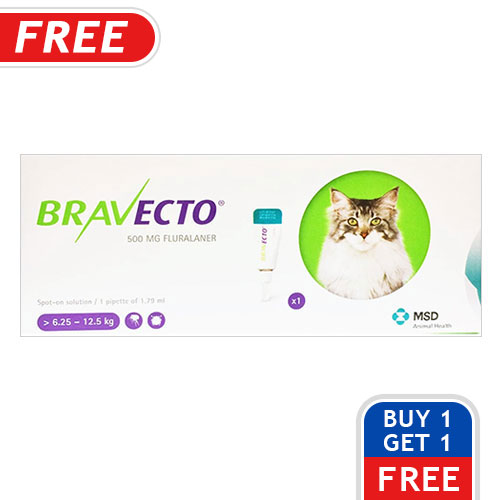 Bravecto Topical Treatments For Cats Bravecto Flea, Ticks Topical