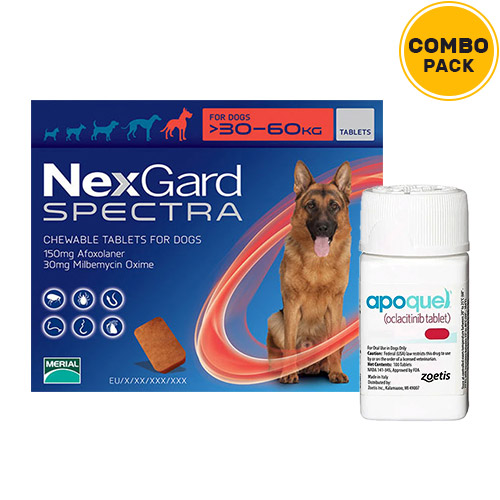 nexgard spectra large dog 6 pack