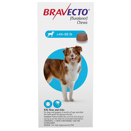 Buy Bravecto Chews For Dogs | Free shipping - BudgetPetWorld