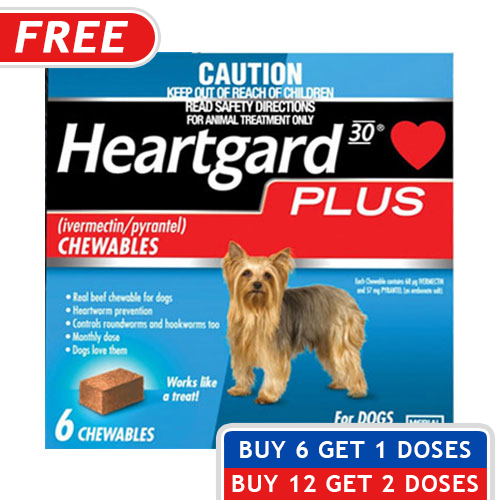 Heartgard Plus for Dogs Buy Heartgard Plus Chewable Tablets for Dogs