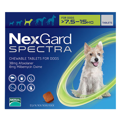 nexgard chewables for dogs nexgard spectra for dogs nexgard spectra chewable tablets for dogs budgetpetworld nexgard chewables for dogs nexgard spectra for dogs nexgard spectra chewable tablets for dogs budgetpetworld