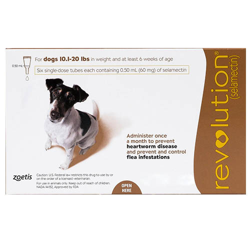 Is Revolution Safe For Breeding Dogs Is Revolution Safe For Breeding Dogs