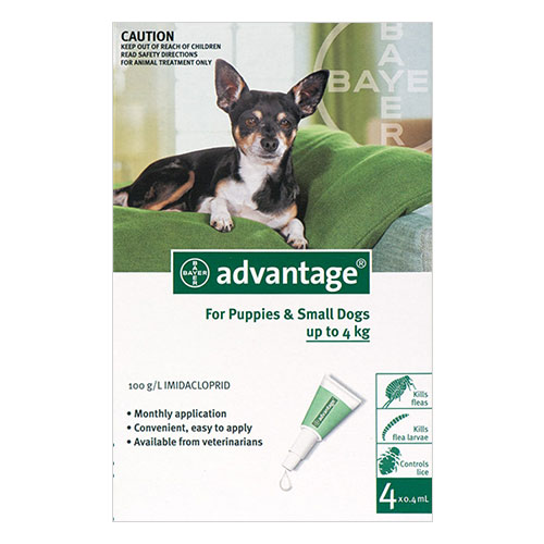 Frontline Plus for Dogs Buy Frontline Plus Flea & Tick Preventative