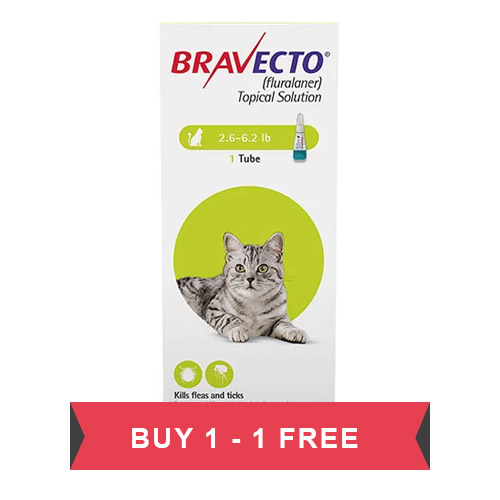 Bravecto Topical Treatments For Cats Bravecto Flea, Ticks Topical