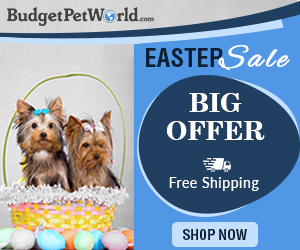 BudgetPetWorld