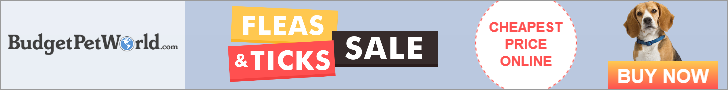 BudgetPetWorld