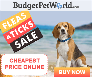 BudgetPetWorld