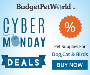CYBER MONDAY Unbelievable Deals – Best Prices of the Season! 20% Extra OFF + BOGO Deals & Free Shipping. Use Code: BPWCM20